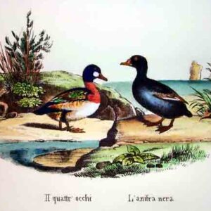 Selvaggina piccola