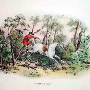 Cavalierini