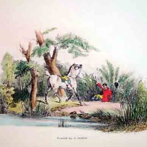Cavalierini