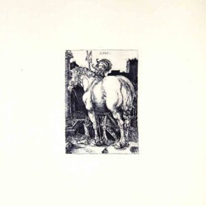 Cavalli Durer