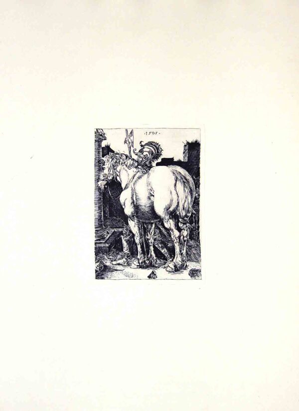 Cavalli Durer