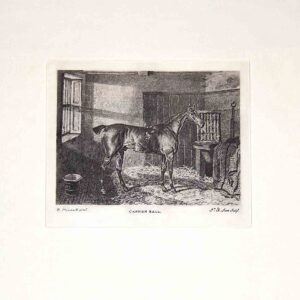 Cavallini Piccoli